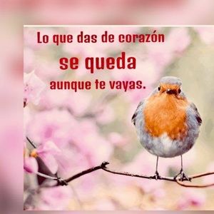 Meet your Posher, Xiomara